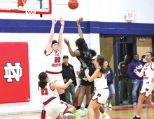 DeSoto Parish Lady Wolverines, Tigers,
