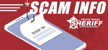 DPSO: Some Helpful Scam Info!