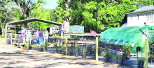 DeSoto Chamber Welcomes Cloud’s Plant Nursery to Business Community in Stonewall