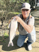 PRESTON ELMER DIXON, JR