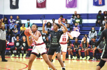 DeSoto Parish Lady Wolverines, Tigers,