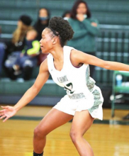 MHS Lady Wolverines Defeat the Carroll Lady Bulldogs in a Sunday Afternoon Playoff Game