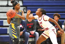 DeSoto Parish Lady Wolverines, Tigers,