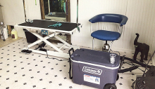 DeSoto Chamber Celebrates the Opening of Jackie’s Pack Dog Grooming