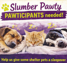 3rd Annual Shelter Slumber Pawty Returns to Support DeSoto Parish Animals