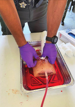 DeSoto EMS Train DPSO Deputies with Realistic Emergency Situations