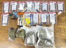 Narcotics Arrest Locates Fentanyl in DeSoto Parish