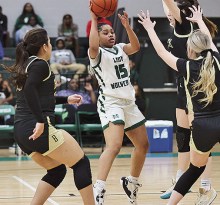 Lady Wolverines Beat Berwick in First Round Playoffs