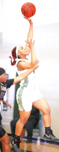 MHS Lady Wolverines Defeat the Carroll Lady Bulldogs in a Sunday Afternoon Playoff Game