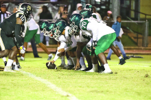 Mansfield Wolverines Fall to Jena Giants in Playoffs
