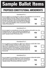 Don’t Forget to Vote Saturday, November 13