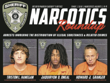 Recent DPSO Narcotics Roundup