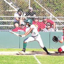 Lady Wolverines Fall to