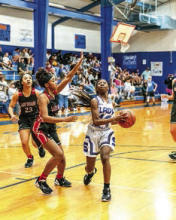Lakeview Gators Chomp MHS Wolverines Boys & Girls