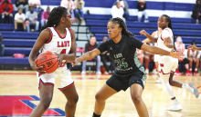 DeSoto Parish Lady Wolverines, Tigers,
