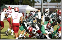 2019 Mansfield Wolverines’ Season Photos