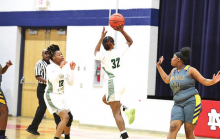 DeSoto Parish Lady Wolverines, Tigers,