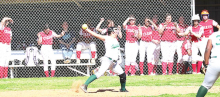 Lady Wolverines Fall to