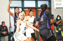 MHS Lady Wolverines Defeat the Carroll Lady Bulldogs in a Sunday Afternoon Playoff Game