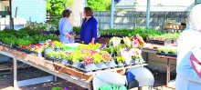 DeSoto Chamber Welcomes Cloud’s Plant Nursery to Business Community in Stonewall