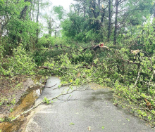 Spring Storms Bring Tornadoes and Damaging Winds to DeSoto; Gov. Declares State of Emergency in North Louisiana