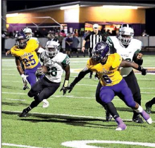 2019 Mansfield Wolverines’ Season Photos