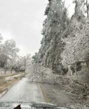 Several Deaths Reported During DeSoto Parish Storm