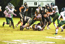 Mansfield Wolverines Fall to Jena Giants in Playoffs