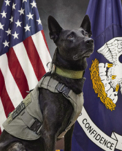 Sheriff Richardson Announces the Retirement of Beloved K9 Rex
