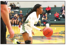 Lady Wolverines Easily Defeat 1st Round Playoff Opponent Patterson