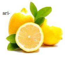 Article Image Alt Text
