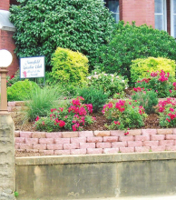 Article Image Alt Text