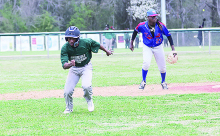Mansfield Softball and Baseball Highlights