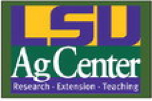 DeSoto Extension Office to Host Horse Health Clinic