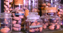 Michael Polozola, LSU AgCenter fruit and nut specialist, has a large collection of pecans that he uses to identify samples sent to him by constituents.
