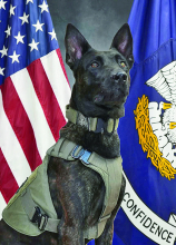 DeSoto Dy. Nolan Perot Completes K9 Training Course