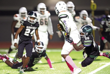 See Ya Later, Gator! Wolverines Shut Out the Lakeview Gators 37-0