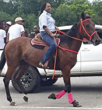 	Celebrating Juneteenth’s Freedom Day Trail Ride Style in Grand Cane