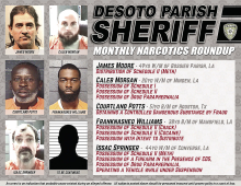 Article Image Alt Text