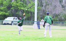 Mansfield Softball and Baseball Highlights