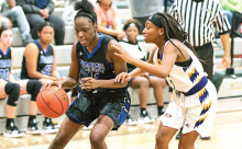 Stanley Lady Panthers Scratch Logansport Lady Tigers 42 to 29