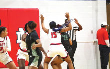 DeSoto Parish Lady Wolverines, Tigers,