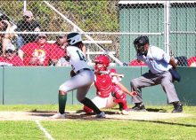 Lady Wolverines Fall to