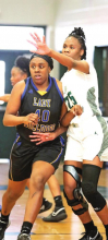 MHS Lady Wolverines Defeat the Carroll Lady Bulldogs in a Sunday Afternoon Playoff Game