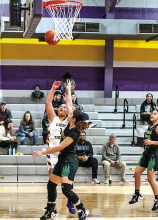 Zwolle Lady Hawks Beat Logansport Lady Tigers 45 to 70