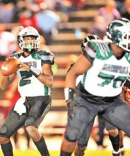 Wolverines Fall to Titans