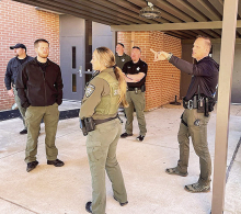 DPSO Training Insight for Today