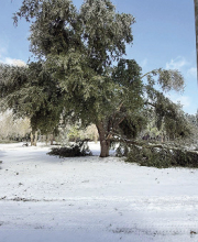 Several Deaths Reported During DeSoto Parish Storm