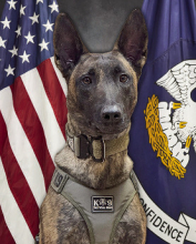 DPSO Welcomes Karen to the K9 Division