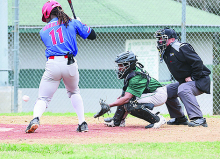 Mansfield Softball and Baseball Highlights